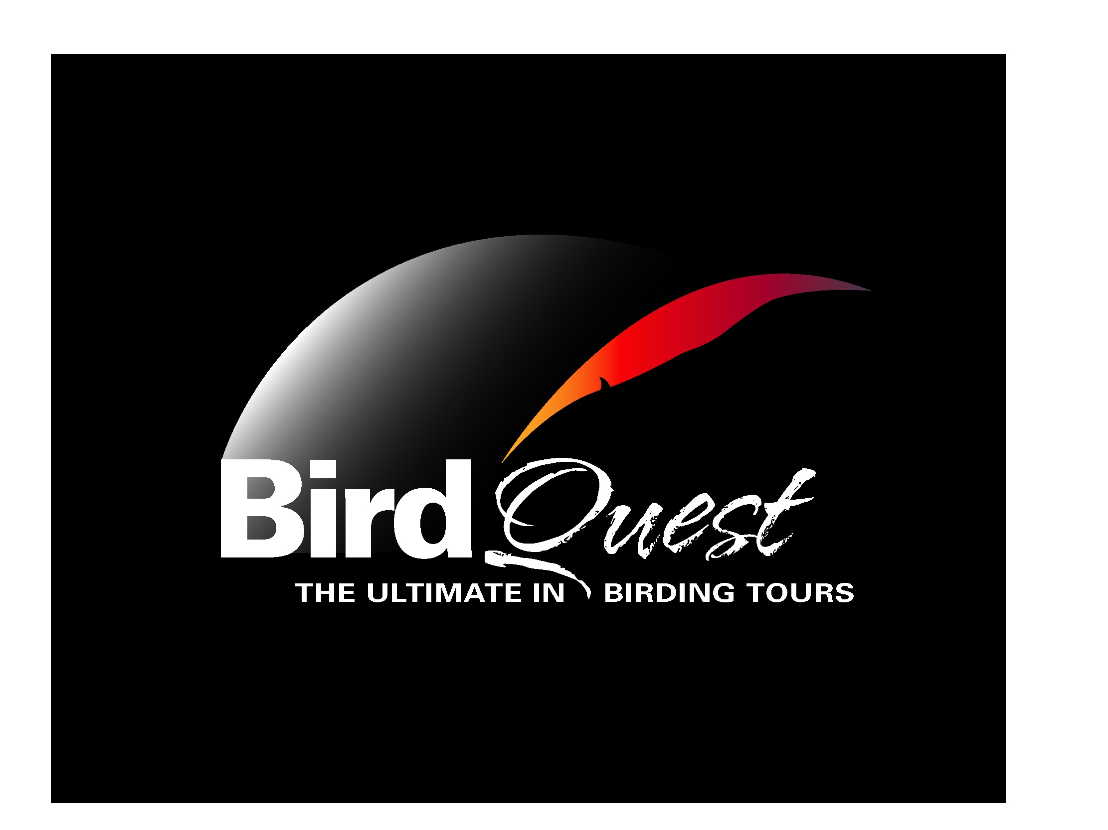 birdquest_logo