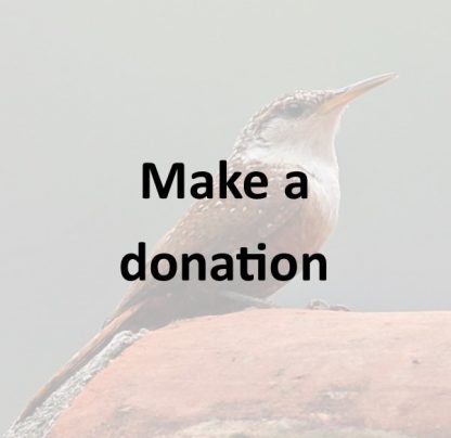 Make a donation
