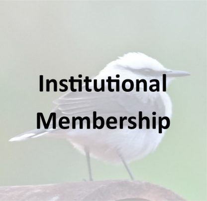 Libraries & Academic Institutions