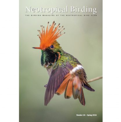 Neotropical Birding 18 Spring 2016