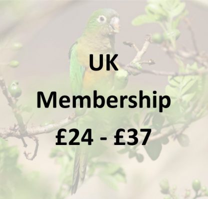 NBC Membership - UK
