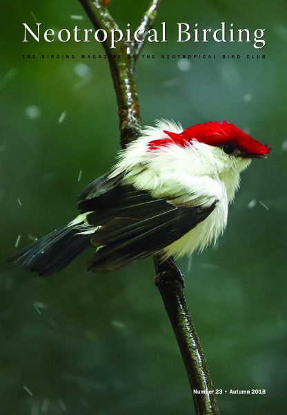 Neotropical Birding 23 Autumn 2018
