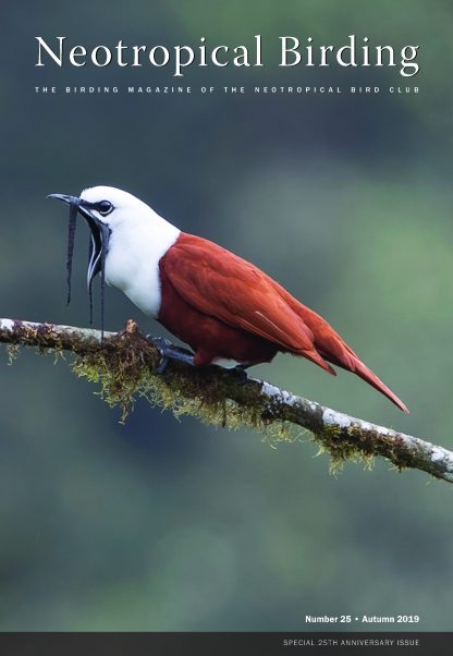 Neotropical Birding 25 Autumn 2019