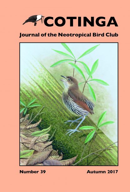 Cotinga Issue 39 Autumn 2017