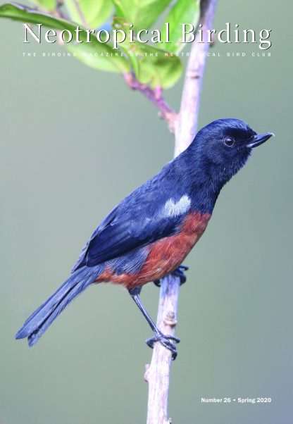 Neotropical Birding 26 Spring 2020