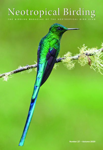 Neotropical Birding 27 Autumn 2020